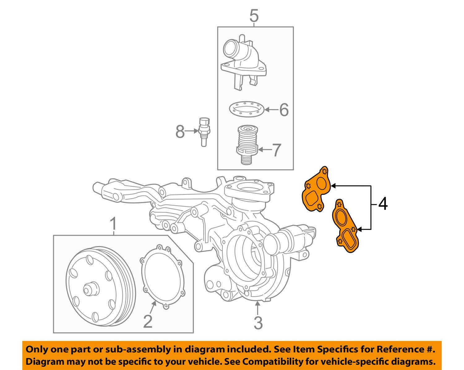 Amazon.com: GM 12657430 GASKET-W/PMP : Automotive