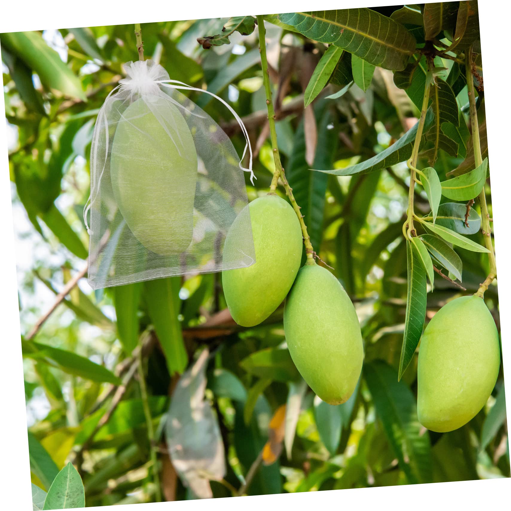 BESPORTBLE 300piezas Bolsas De Protección para Frutas De Transpirable Cierre para Jardín contra Plagas y Aves Reutilizables y Resistentes