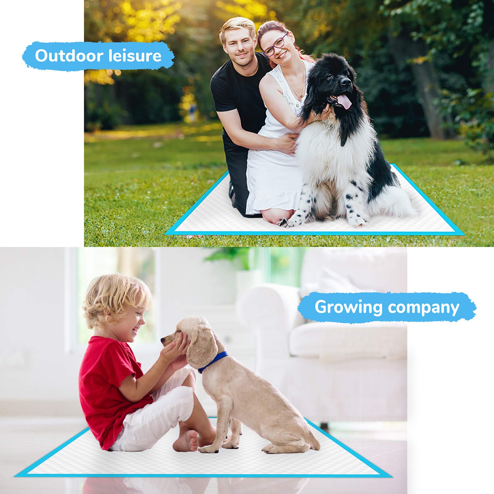JOINPADS Dog Pee Pad, Puppy Potty Training Pet Pads Dog Pads Extra Large Disposable Super Absorbent & Leak-Free Pee Pads 28"x34" 1