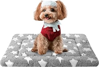 Reversible Dog Crate Bed Mat for Small Dogs - Cool/Warm Dual Side, Machine Washable Non-Slip Kennel Pad, 24x18 Grey Star