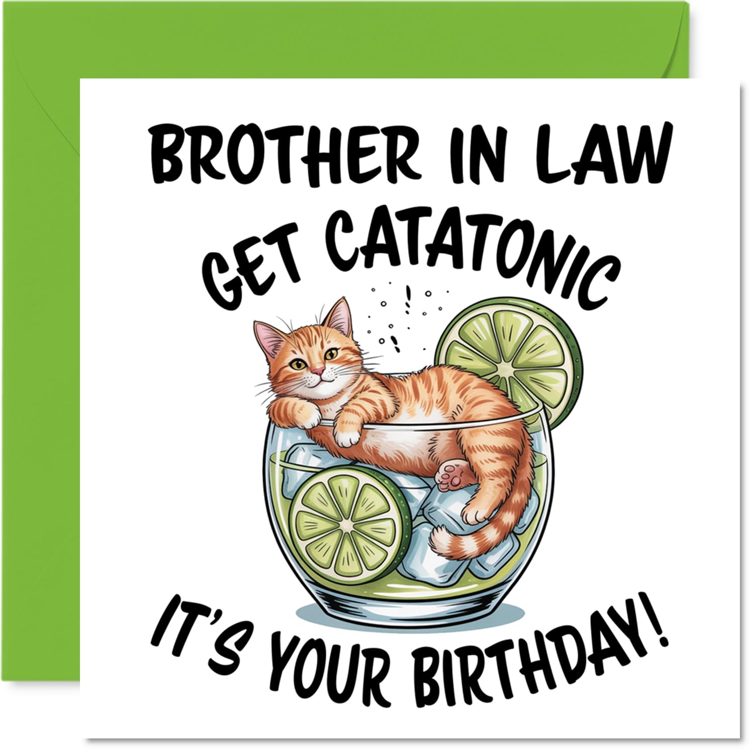 Brother in Law Birthday Card - Catatonic - Happy Birthday Card for Brother in Law from Sister Sibling, 145mm Cute Animal Design Bday Greeting Cards