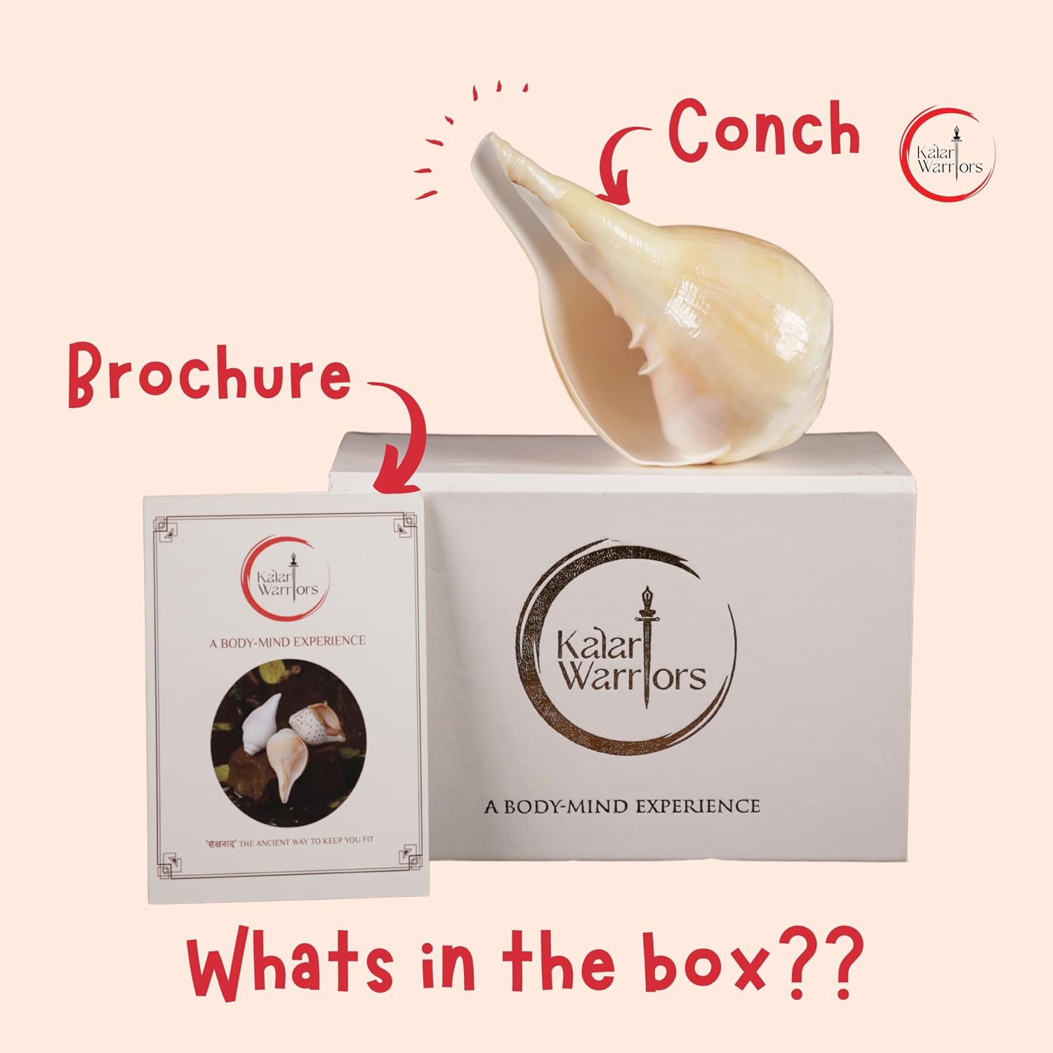 Natural Vamavarti Conch Shell (Shankh) | 12-13" Blowing Shankh for Pooja, Padam Shankh, Hindu Rituals & Home Temple | Sacred Sea Shell