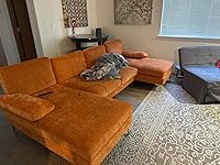 Review Image by Oleksandr Pohrebnyi Oleksandr Pohrebnyi