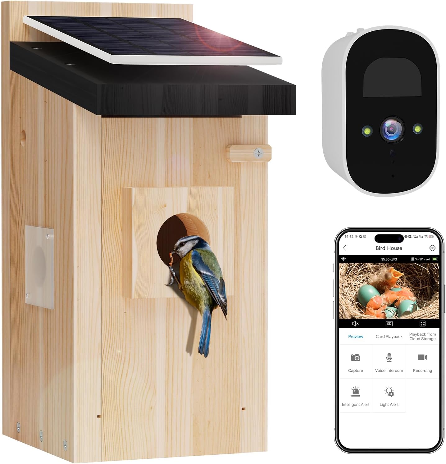 Amazon.com: Bird House with Camera - Solar Powered Birdhouse Camera ...