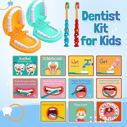 Miniatura 6 de Skylety Juego de 2 juegos para dentistas, modelo de dientes dentales con cepillo de dientes, tarjetas educativas, tamaño estándar