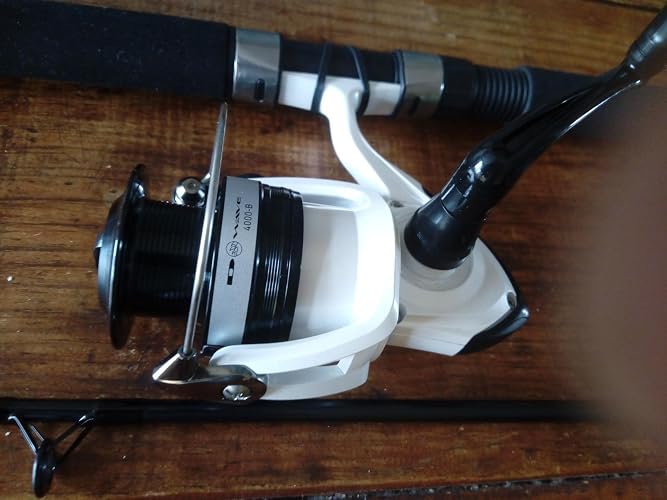 Daiwa D-Wave 10' DWB-B Reel Amd Fiberglass Rod Combos Sports & Outdoors