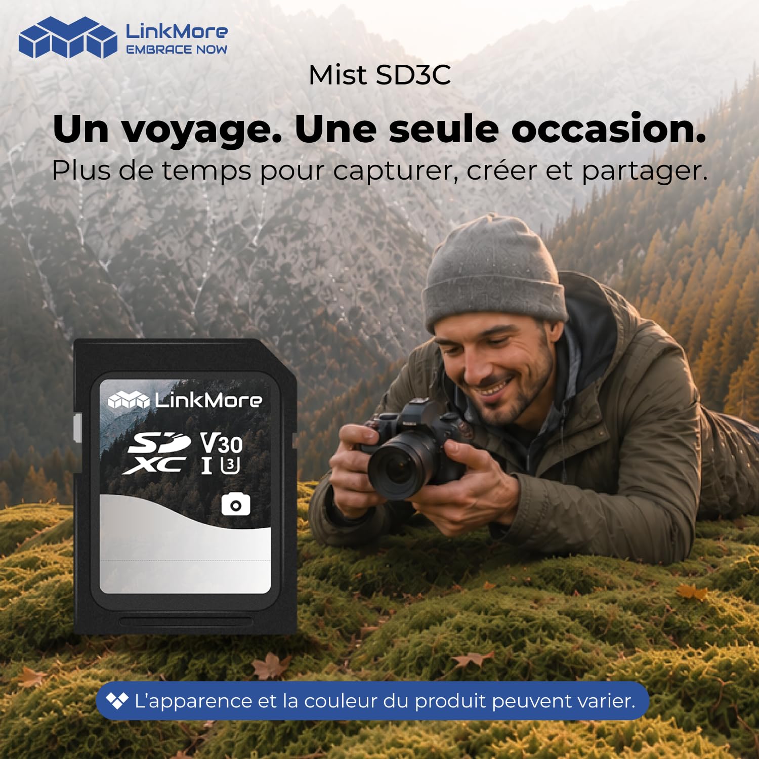 LinkMore - Tarjeta de memoria SDXC de 256 GB, tarjeta SD UHS-I U3 V30, clase 10, lectura de hasta 95 MB/s, escritura de hasta 60 MB/s, para cámara, videocámara y ordenador (Mist SD3C)