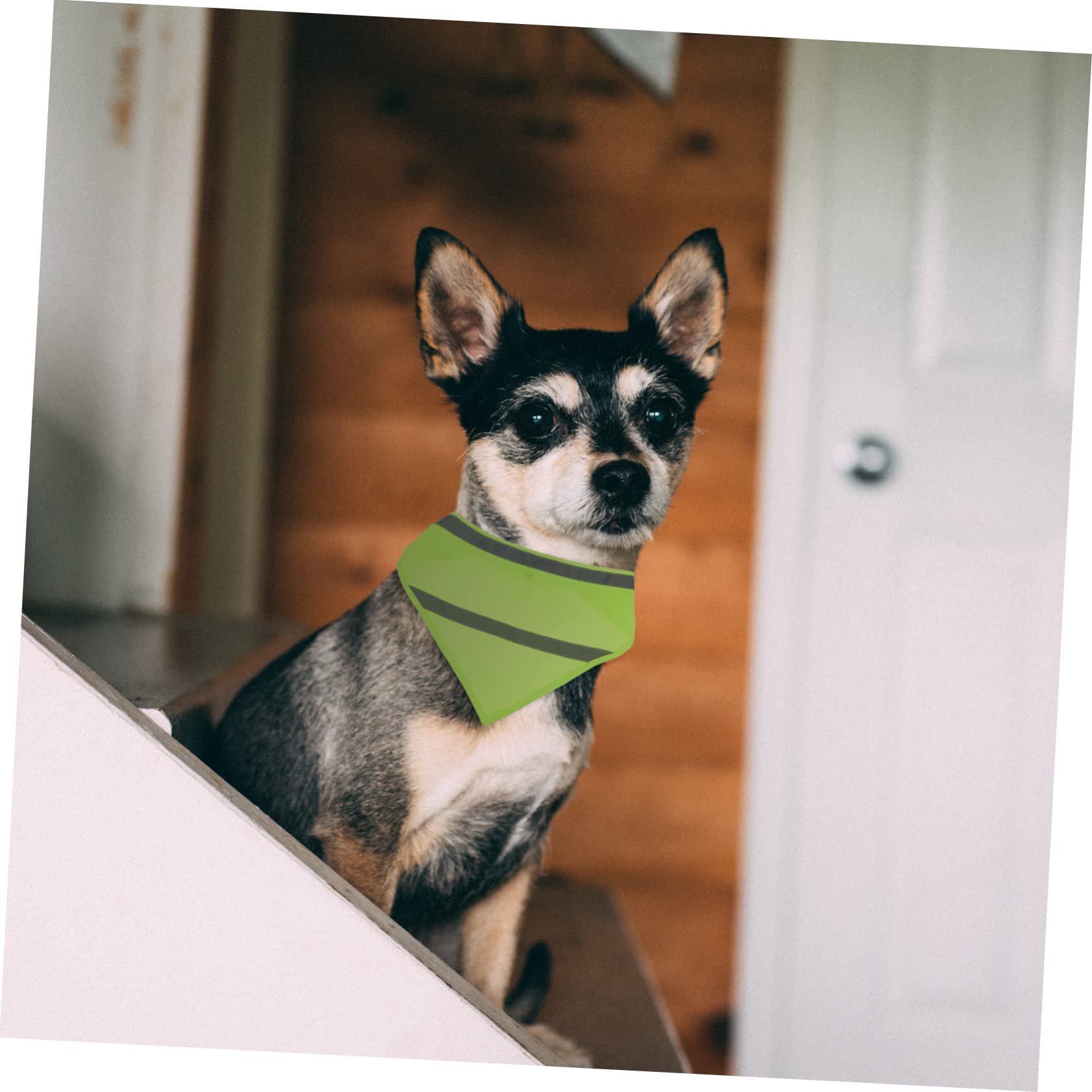 6pièces Écharpe Réfléchissante pour Chiens Lot de Bandanas Triangulaires Colorés Accessoire De Mode Pratique Et Visible pour Promenade Nocturne