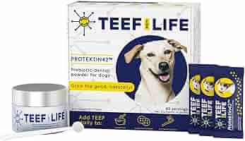 Amazon.com : TEEF FOR LIFE Protektin42 Prebiotic Dental