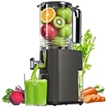Cold Press Juicer, 5.5inch Wide Feed Chute Juicer Machine, Slow Masticating Juicer for Whole Vegetables & Fruits, Gray