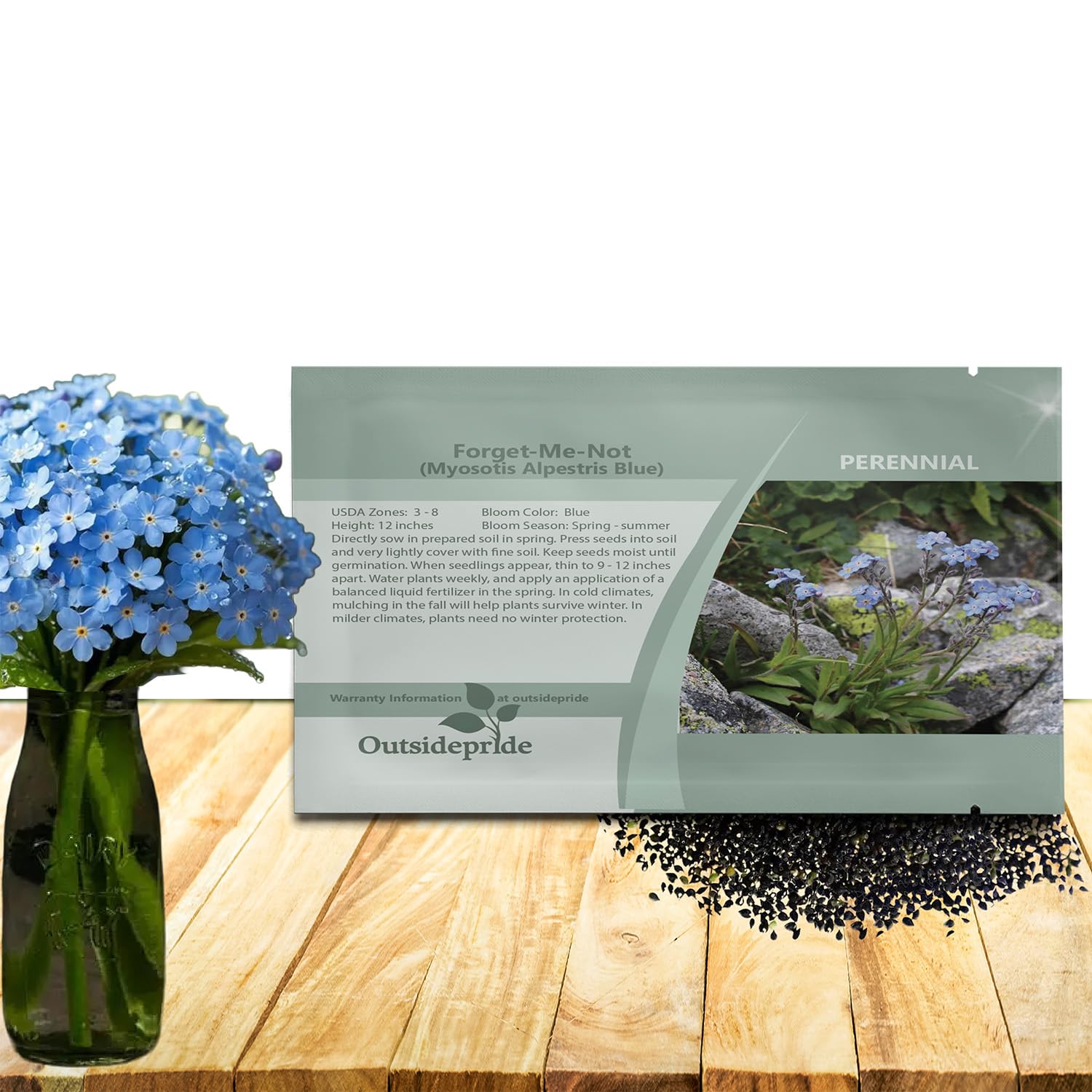 Outsidepride Blue Forget Me Not Seeds - 10000 Pcs Low Growing, Self-Sowing Perennial Flower Seeds for Planting Dense Blue Blooms & Upright Growth