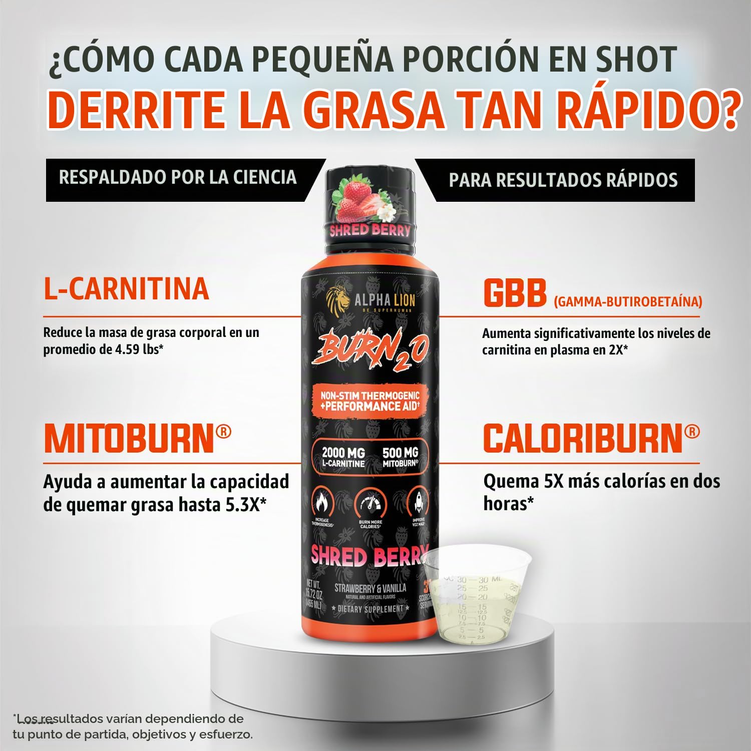 ALPHA LION Burn2O L-carnitina líquida 2000 mg, quemador de grasa líquido premium y suplemento para antes del entrenamiento para hombres y mujeres, potenciador de energía natural y metabolismo para : Salud
