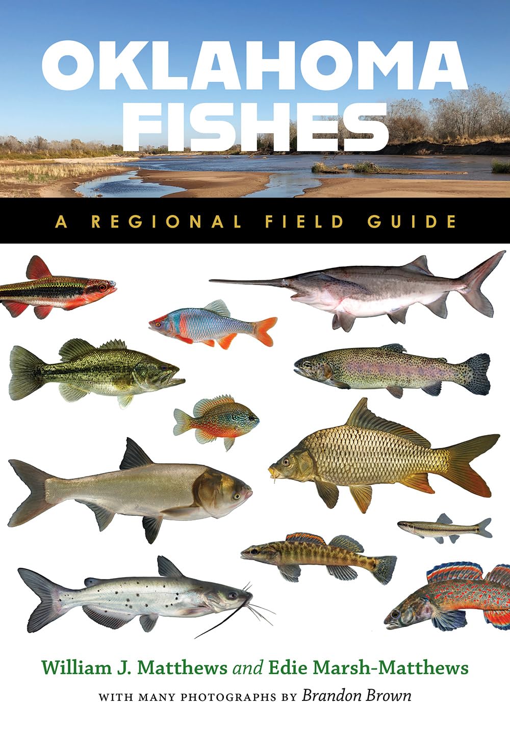 Oklahoma Fishes: A Regional Field Guide