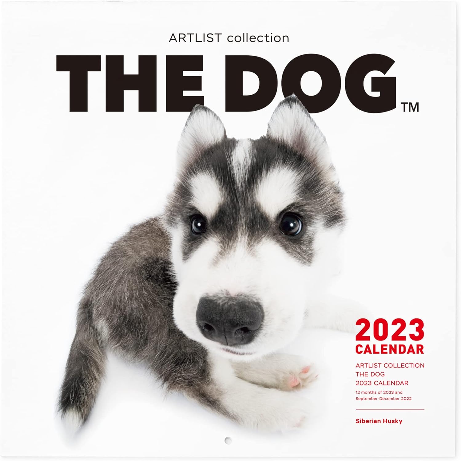 Amazon The Dog カレンダー 23 壁掛け 大判サイズ シベリアン ハスキー 犬カレンダー 22年9月 23年12月 アダルトカレンダー 文房具 オフィス用品