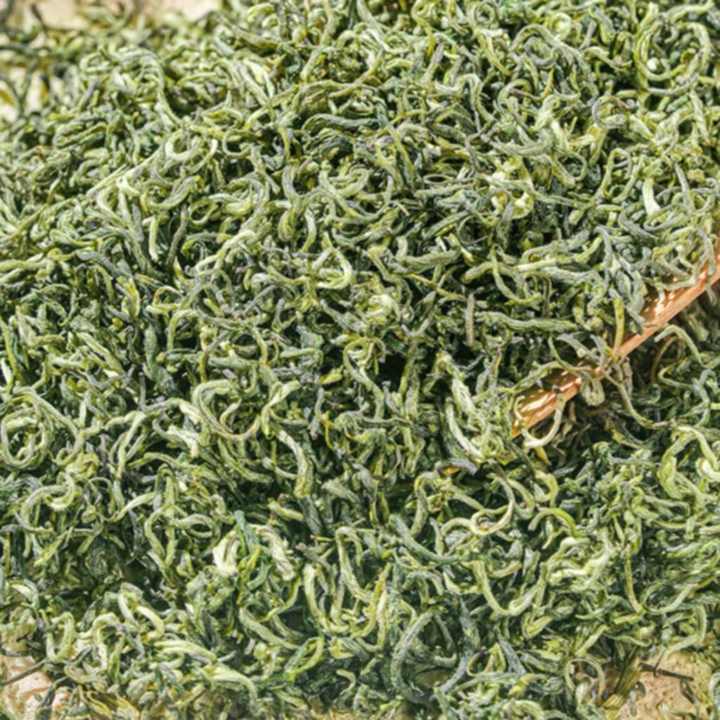 Thé Vert Mengding Ganlu 250g*2 | Thé En Vrac 17,64oz | Thé De Printemps De Catégorie A, Récolté Avant Qingming | Pour Se Faire Plaisir Ou Pour Offrir