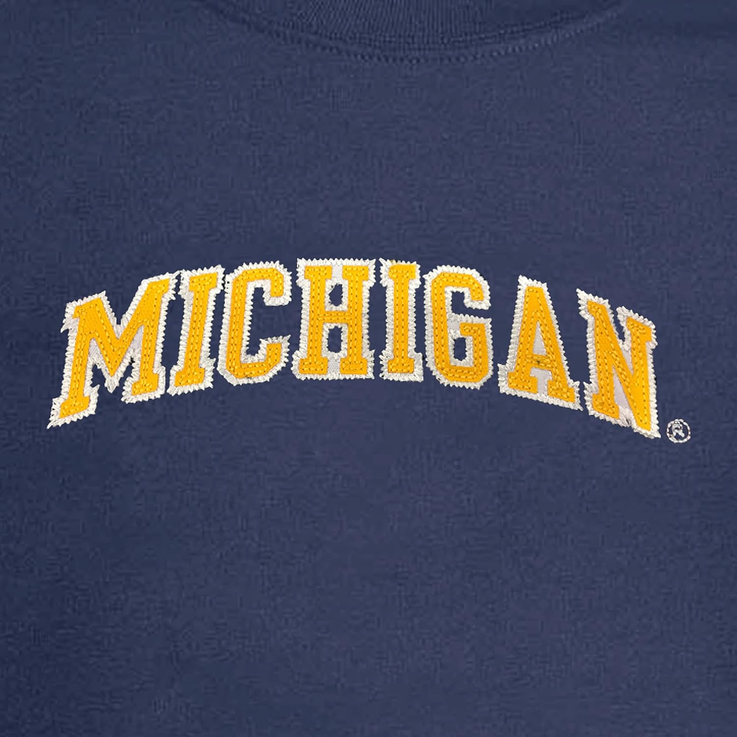 Little King NCAA Youth Boys Crewneck Sweatshirt with Tackle Twill Letters-Team Colors (YS YM YL YXL) - Image 4