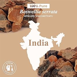 Handcraft Blends Frankincense Essential Oil - 0.33 Fl Oz - 100% Pure and Natural - Premium Grade Essential Oil for Diffuser and Aromatherapy, Skin, Massage, Candle and Soap Making Fragrance