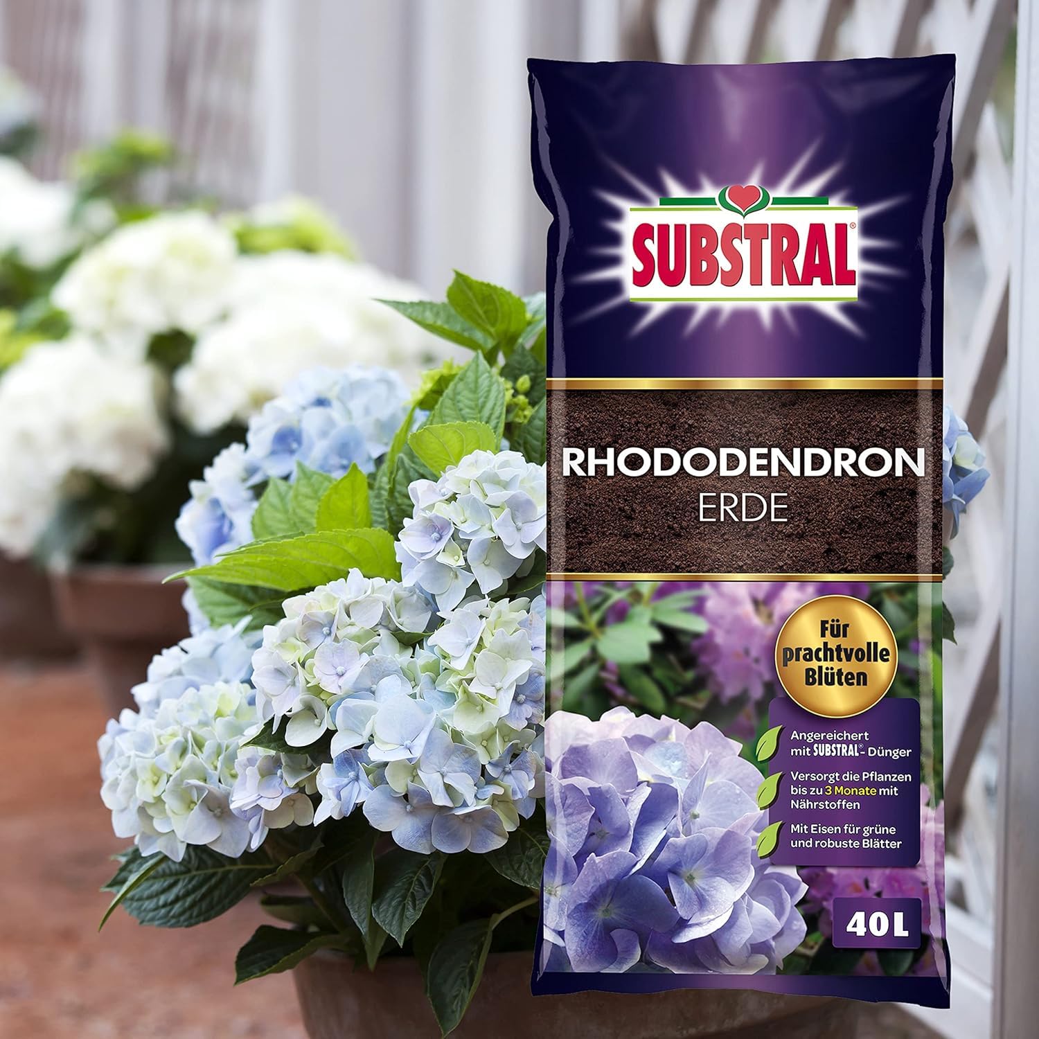 Substral Rhododendron Erde 40l, fr Rhododendren, Hortensien, Azaleen,  Heidelbeeren, u.a., 3 Monate vorgedngt : Amazon.de: Garten