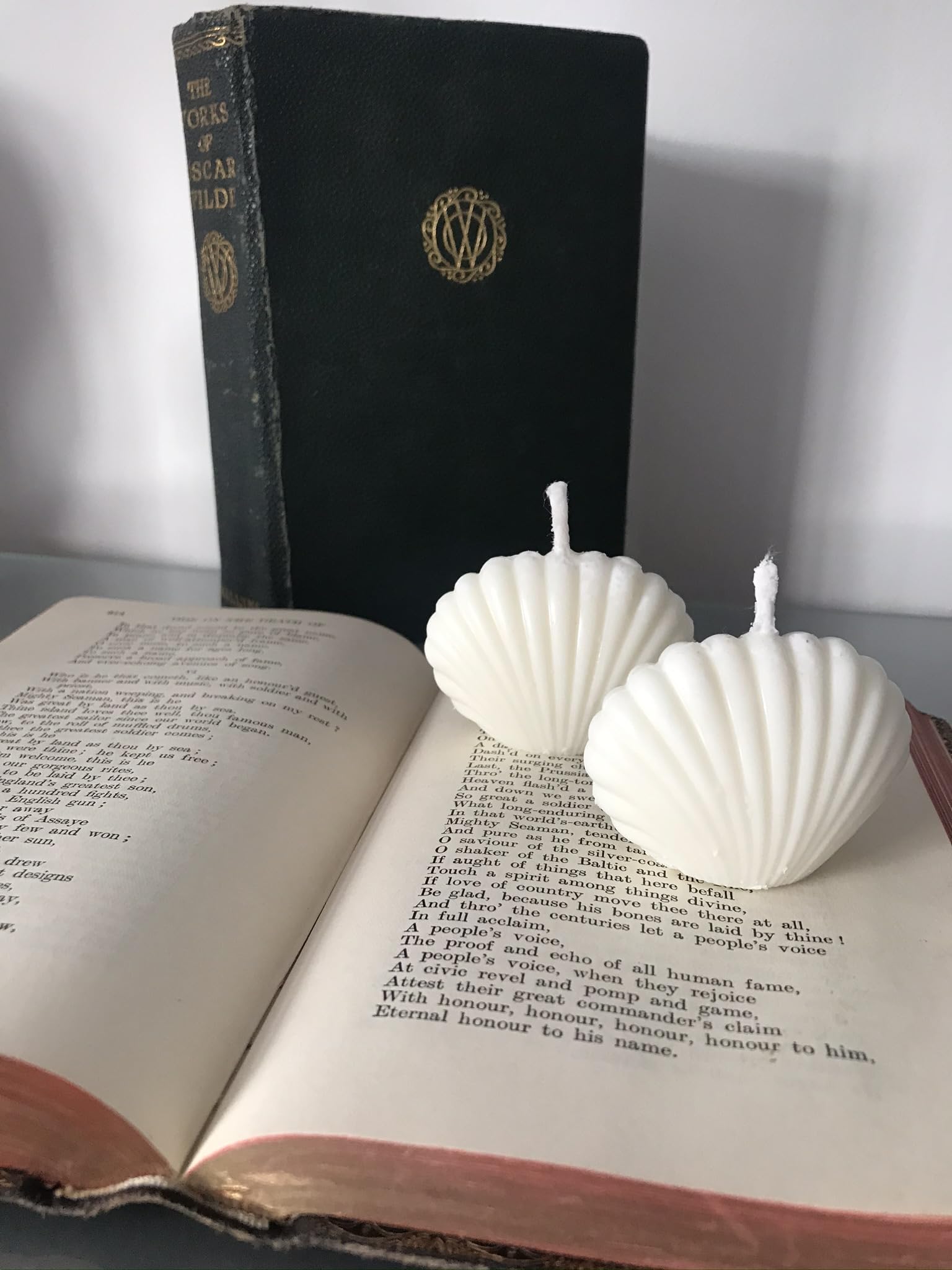 2 x Cute Mini Shells Scallop Seashell 6cm x 4cm