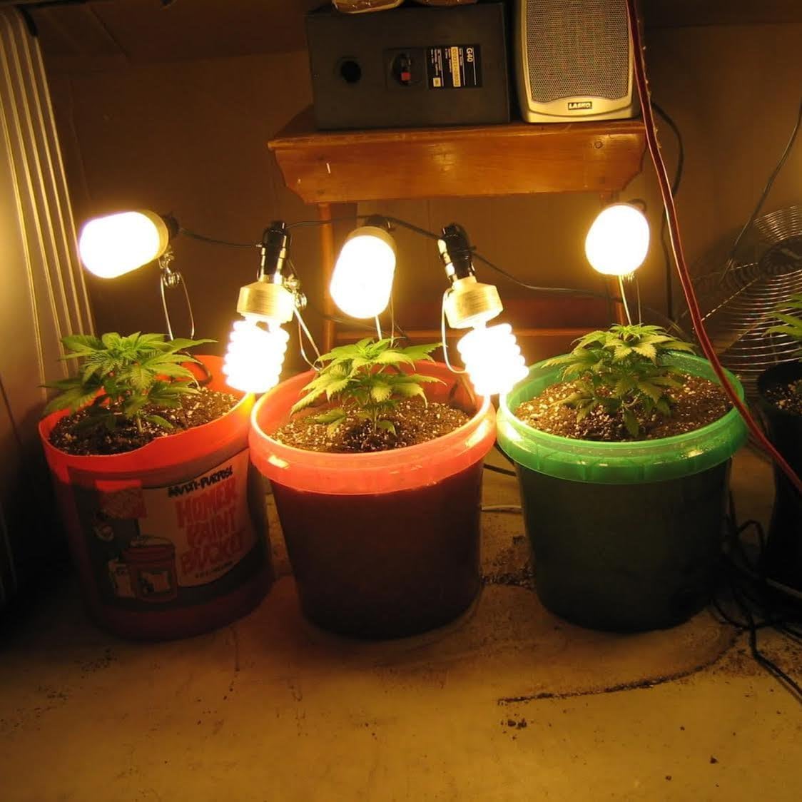 🔥 Flаѕh Sаlе Simple Deluxe HIWKLTCLAMPSOCKETX12 12-Pack E26 Clamp Light Socket up to 150 Watt 18/2-Gauge 6 Feet Cord, Black