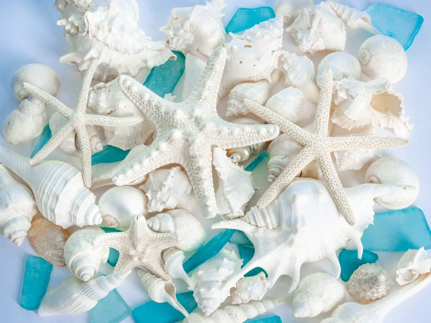 White Mixed Beach Seashells 2lb with Starfish & Sea Glass – Real Sea Shells for Crafts, Ocean Décor, Seashell Decorations, Coastal Home Accents, Large Shells for DIY, Beach Weddings & Parties