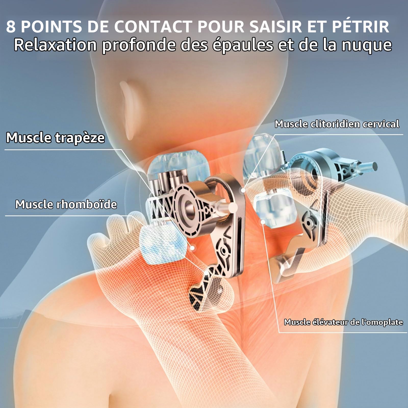 Healthrelife Appareil de massage Shiatsu pour la nuque, les épaules, le dos, les épaules, les jambes, les pieds - Avec fonction chauffante - Bleu