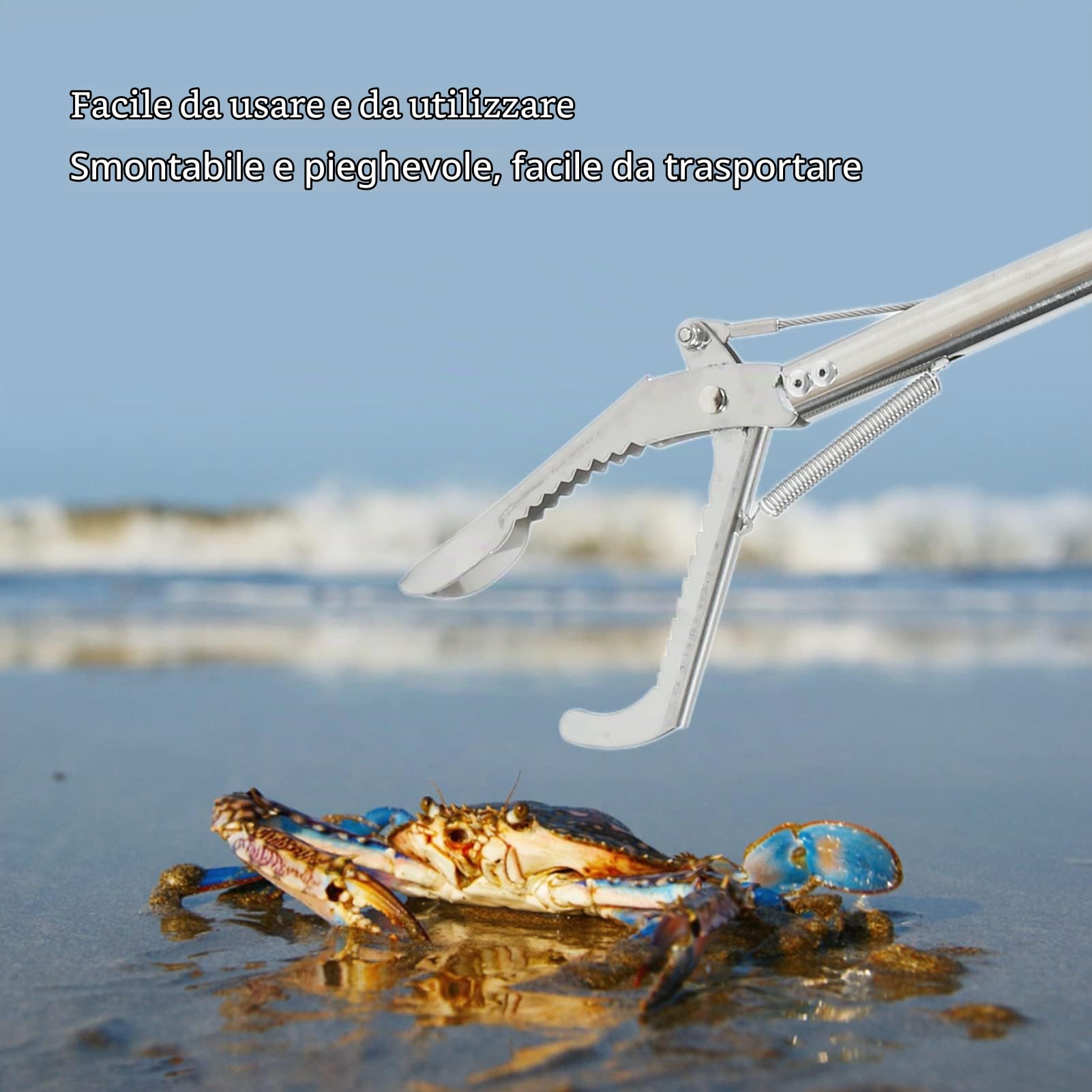 Pinze per Granchi, Multifunzionali Pieghevoli Staccabili in Acciaio Inossidabile Pinze a Forbice per Pesci Lunghi for Cucina Pesca Grigliata e Preparazione Alimenti