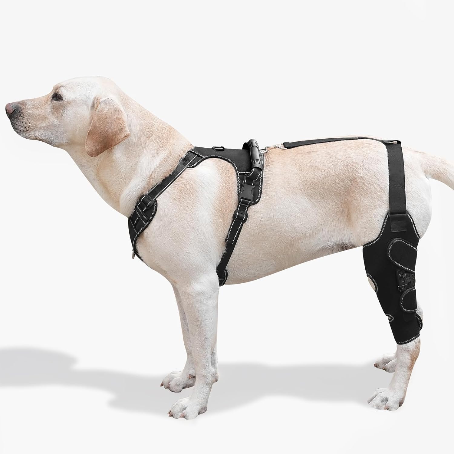 Dog Knee Brace with Adjustable Support  ACL & CCL Tear Recovery, Post-Surgery Stabilization, Mobility Aid for Rear Legs  Includes Secure Chest Harness for Dogs(Left,L)