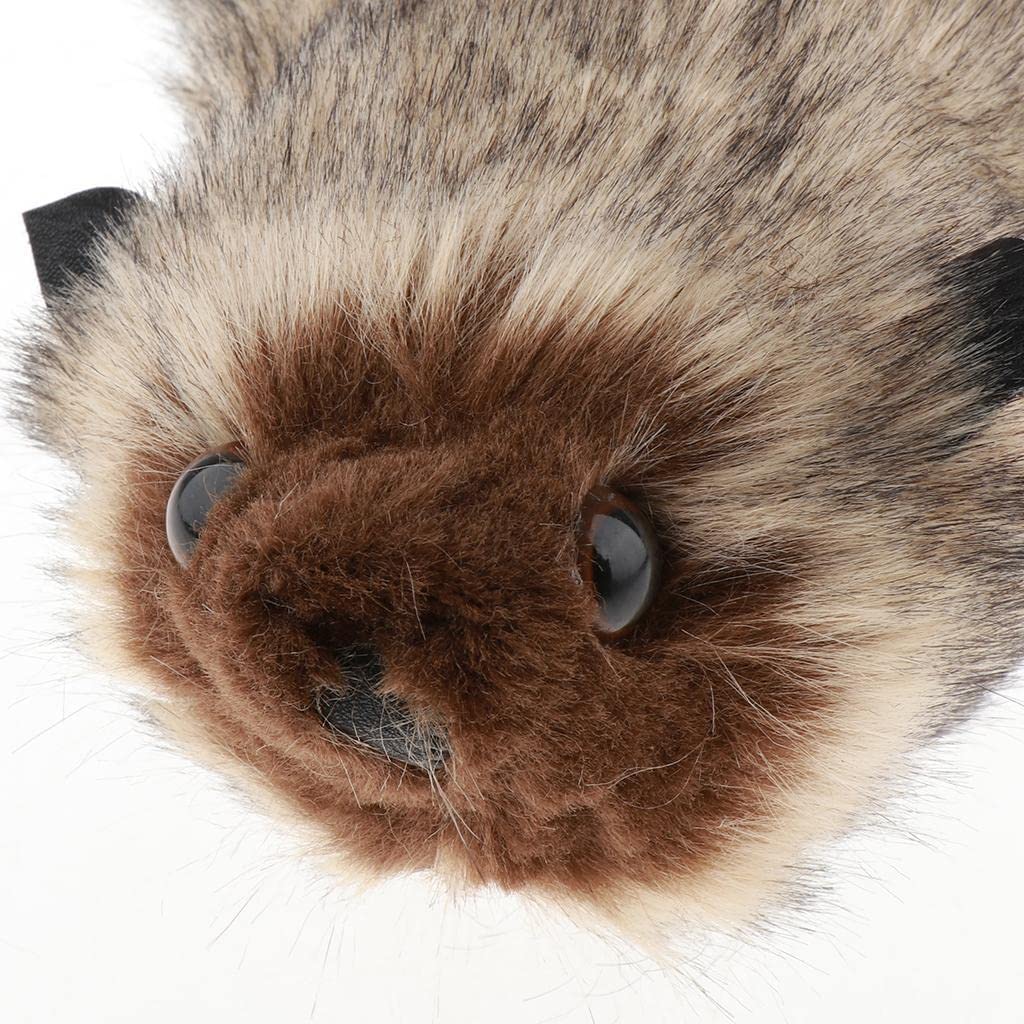 Zaubertrick Waschbär Mit Plüsch Und Metall