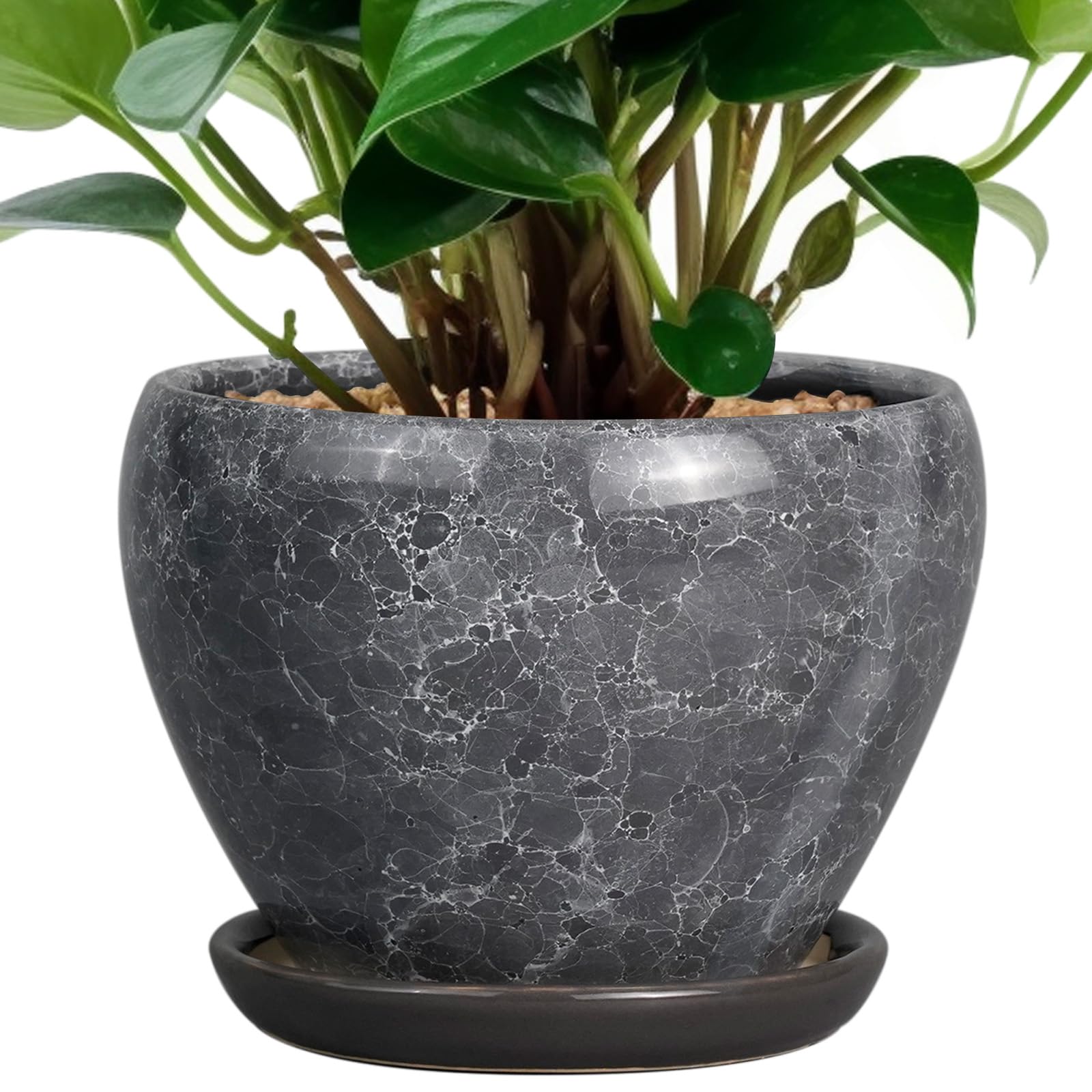 Ceramic Planter - 6 Inch Plant Pot with Drainage Hole and Saucer, Succulent Pot Glaze Round Flower Pot for Indoor Outdoor Plants, Gray