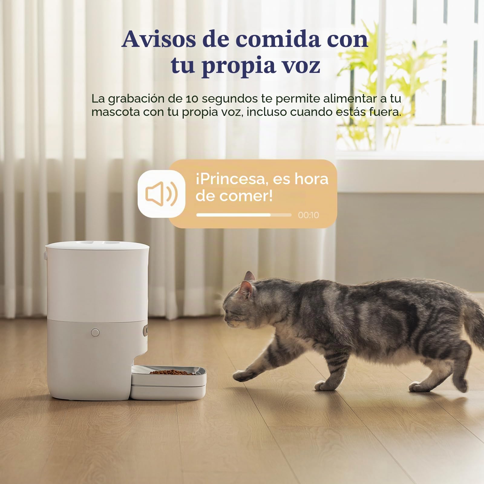 Pawsync Comedero automático para Gatos con aplicación, Seguimiento Inteligente de báscula, horarios de alimentación Personalizados, Capacidad de 3.6 L para Gatos y Perros pequeños, hasta 10