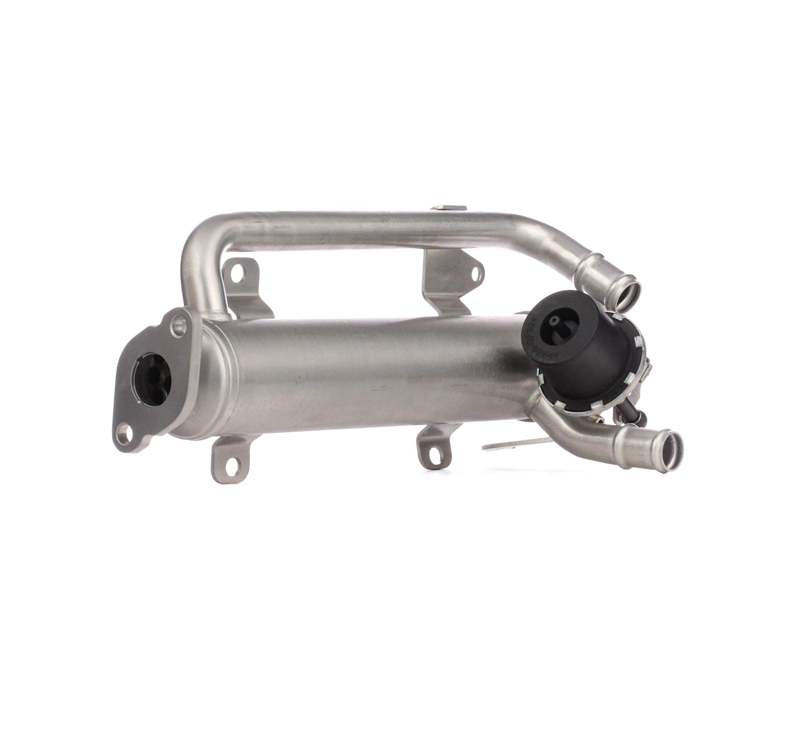 STARK SKEGR-0770239 Valvola EGR con comando a depressione con guarnizioni senza valvola EGR (ricircolo gas scarico) Compatibilità con VW Golf V Hatchback 1K1