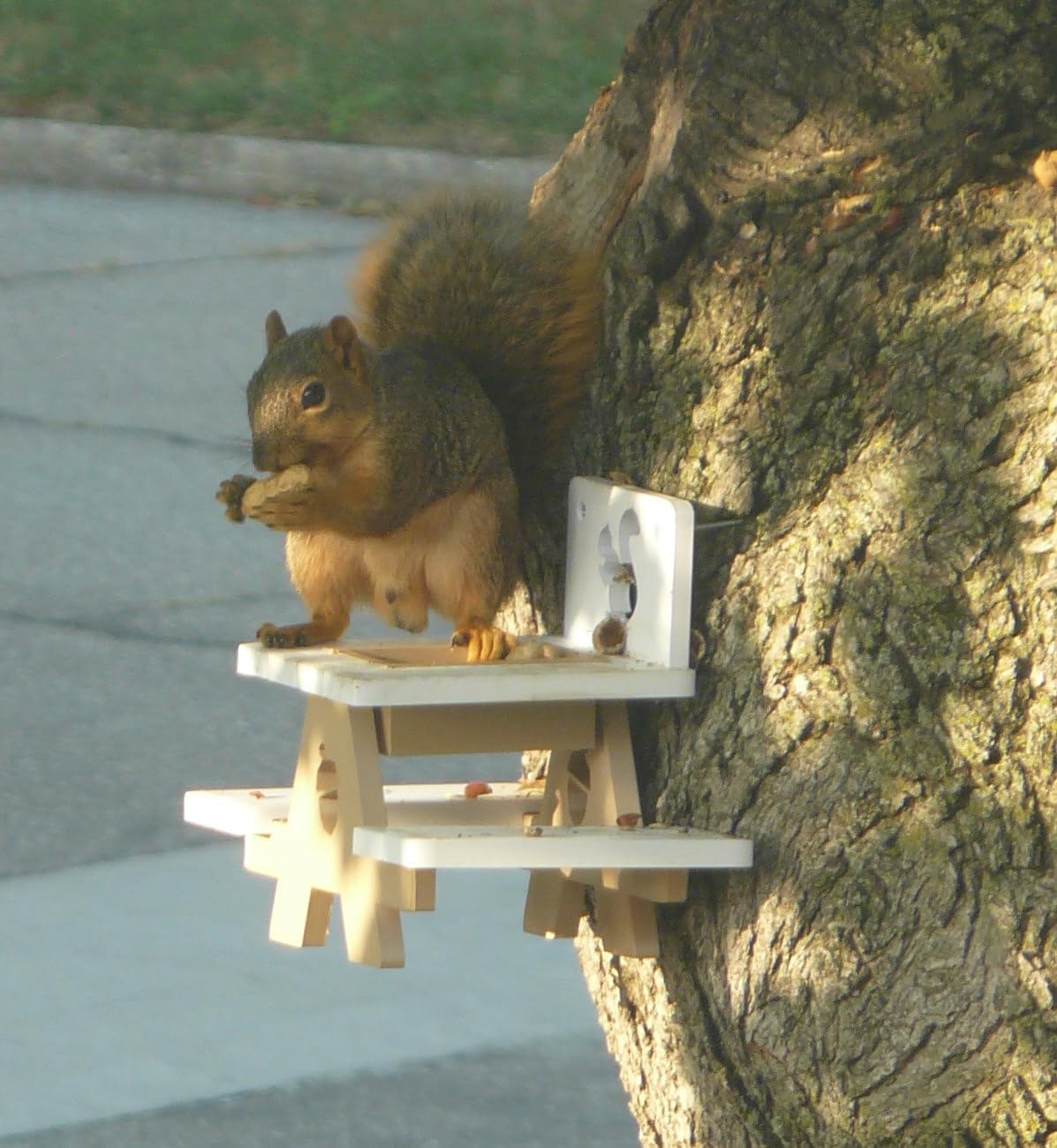 Squirrel Picnic Table Feeder - 3D Printed Backyard Wildlife Funny Feeder