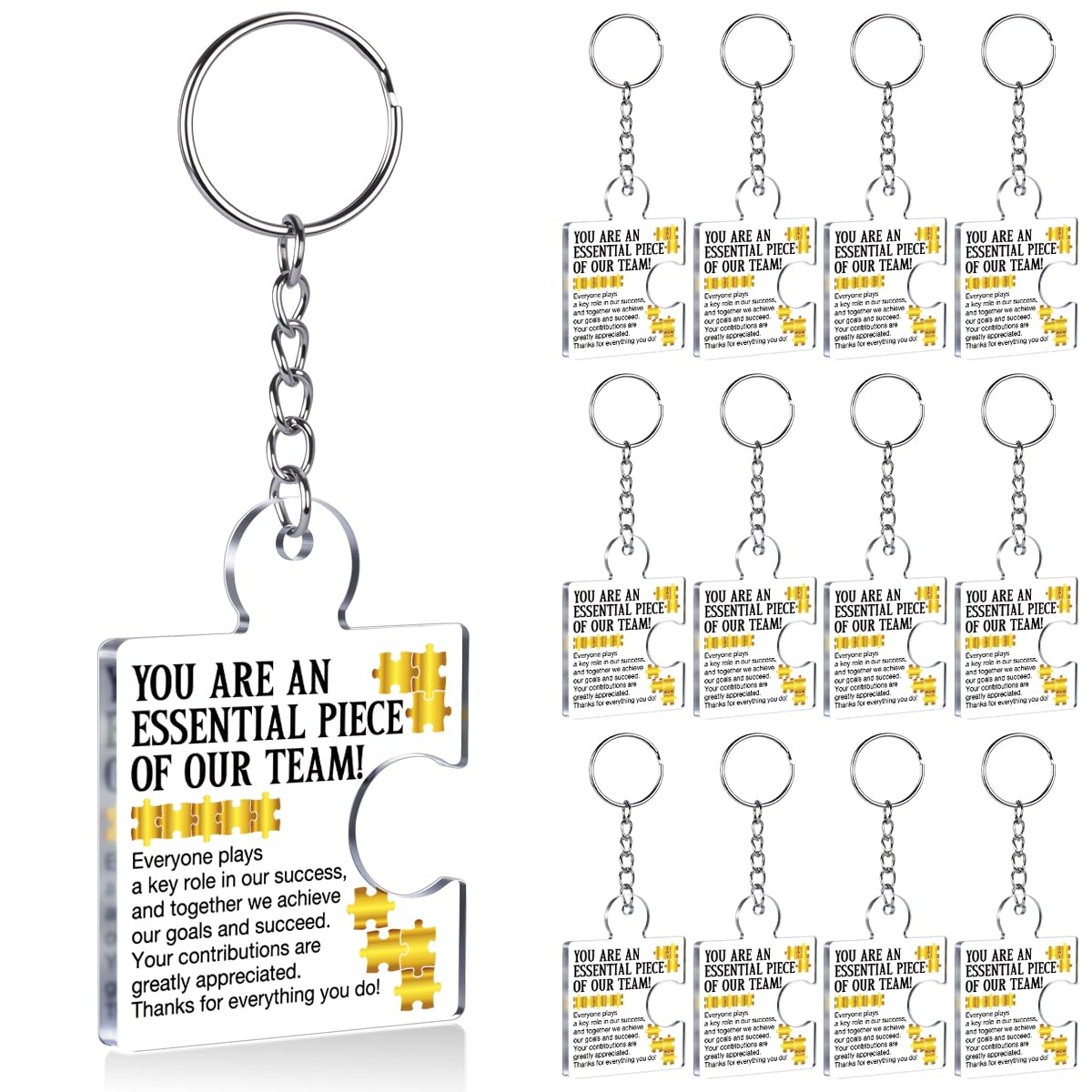 Team Appreciation Gifts Bulk Thank You Keychains for Coworkers