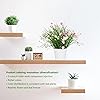 Product Photo 5