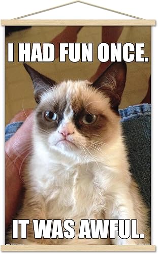 Trends International Grumpy Cat - Póster de pared divertido, 22.375 x 34 pulgadas, paquete de impresión premium y colgador de madera de haya