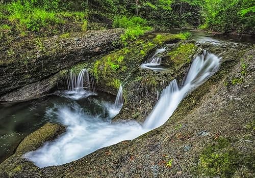 Posterazzi DPI12577847LARGE Waterfall and a Tranquil Stream in a Forest Saint John, New Brunswick, Canada Robert Postma Poster Print, 36 x 26,