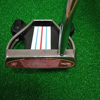 Amazon.co.jp: テーラーメイド スパイダー ロッサ パター 初代