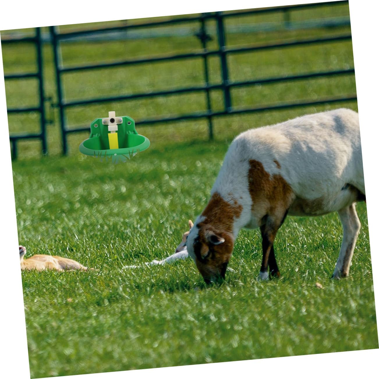 GALPADA 6pcs Automatic Drinking Bowl for Sheep Water Dispenser Copper Valve Easy to Install Lamb Fountain for Livestock Hydration