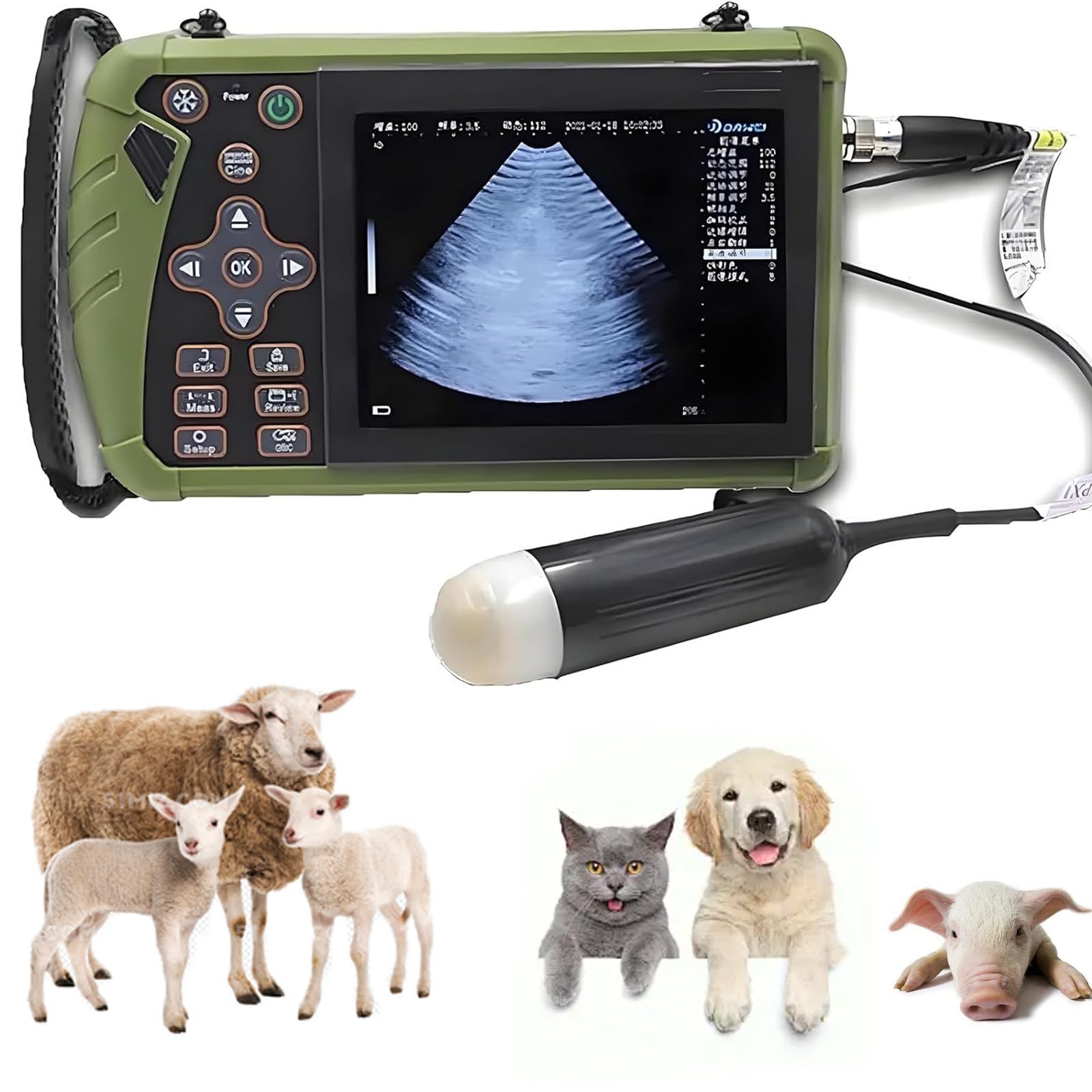 échographe Vétérinaire Portable pour Le Diagnostic de Gestation chez Les Chiens, Les Porcs et Les Moutons, Utilisation en élevage