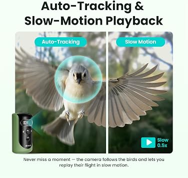 Birdfy 2 Smart Bird Feeder with Camera, Dual-Lens (2K+1080P), Solar-Powered, Wireless Installation, Auto-Capture Bird Videos & Motion Detection, Gift Present