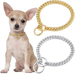 gold dog chain amazon