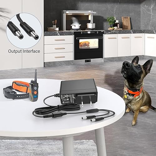 Miniatura 3 de UpBright Adaptador de 10 V CACC compatible con Dogtra Super-X 3502NCP ARC 1900S 1902S EDGE 2300NCP 2500T&B 3500NCP Collar HK-AJ-100A150-US