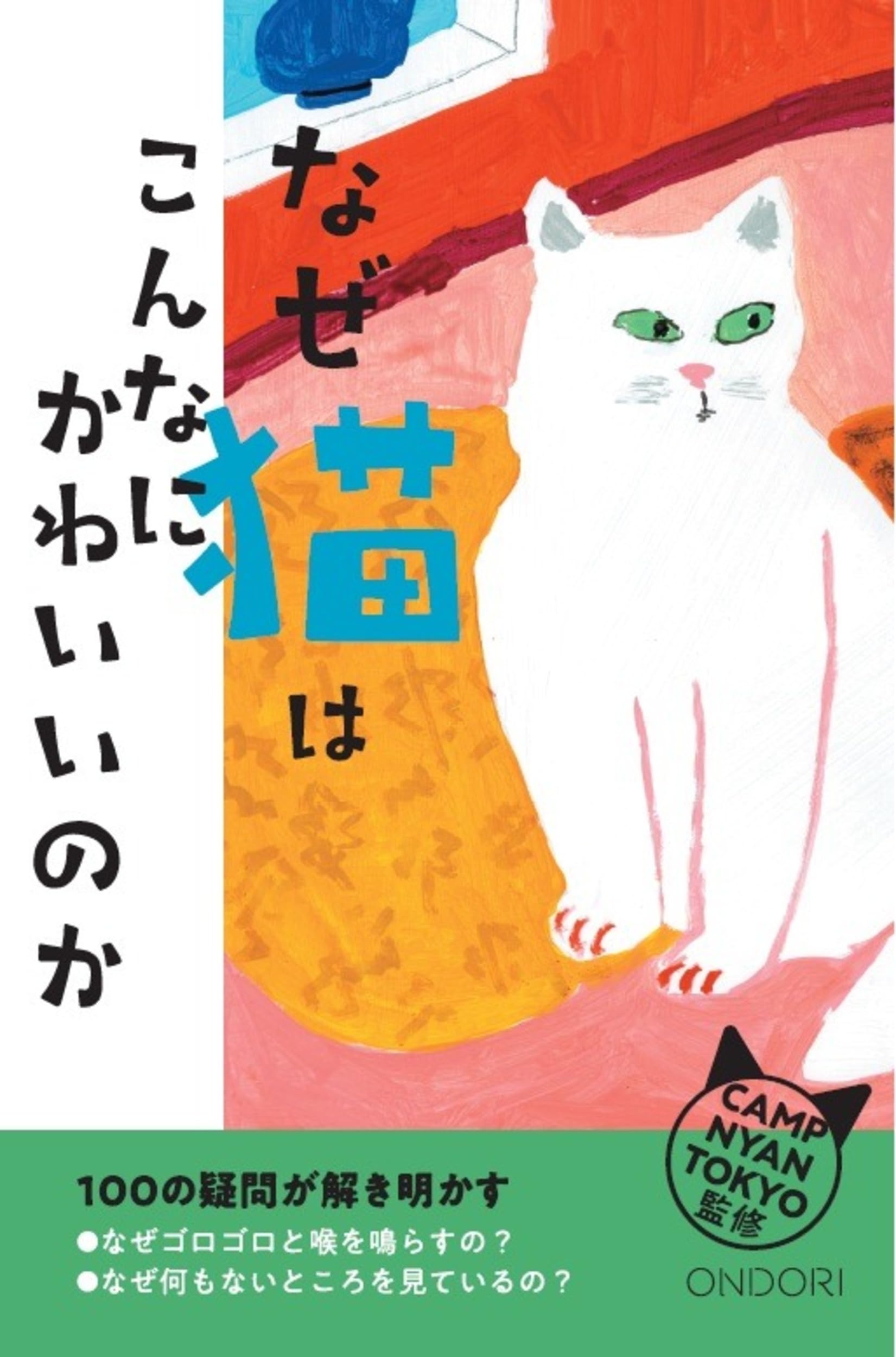 もちまる日記」のもち様がスコティッシュフォールドなのに驚いた