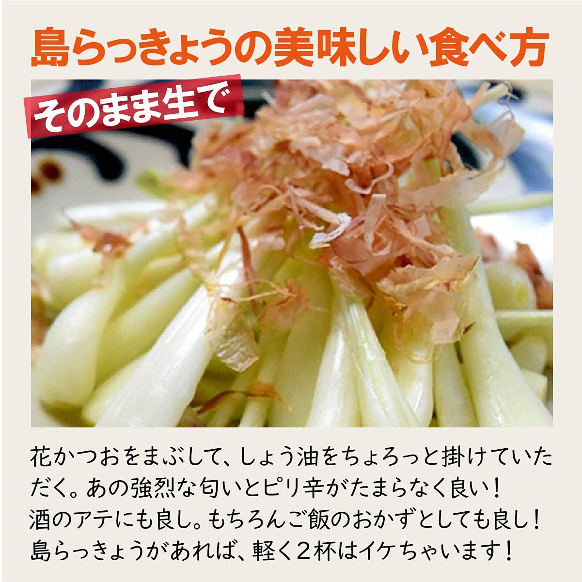 Amazon.co.jp: 琉球フロント沖縄 沖縄県産 島らっきょう 3kg（500g×6束