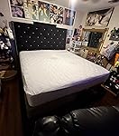 Review Image by Stephanie Gallegos Stephanie Gallegos