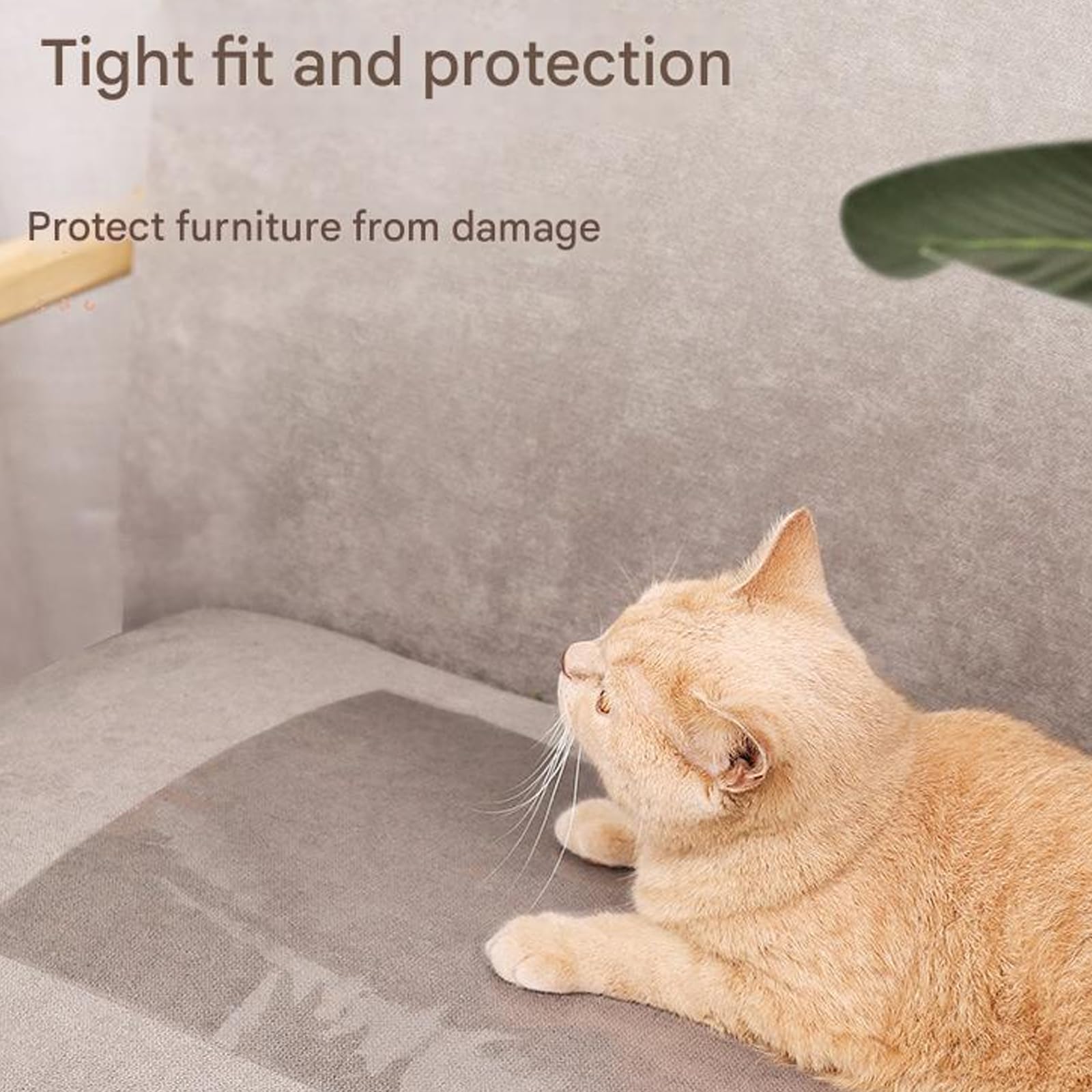Láminas protectoras autoadhesivas para gatos, para sofá, brazos, muebles, esquinas, película transparente, antiarañazos, durabilidad, protección contra arañazos