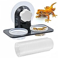 MRTIOO Crested Gecko Feeding Ledge with 30x 0.5oz Cups - Secure Non-Suction Reptile Feeder for Lizards, Frogs & Amphibians