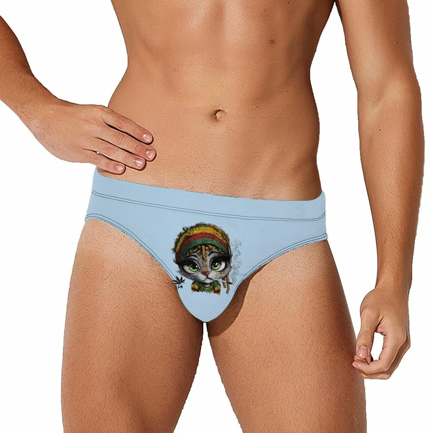 Rasta Cat-Photorooms Men's Swimsuit Brief Sexy Bikini Briefs Retro Printed Swimwear Quick Dry Swimming Trunks 3X-Large