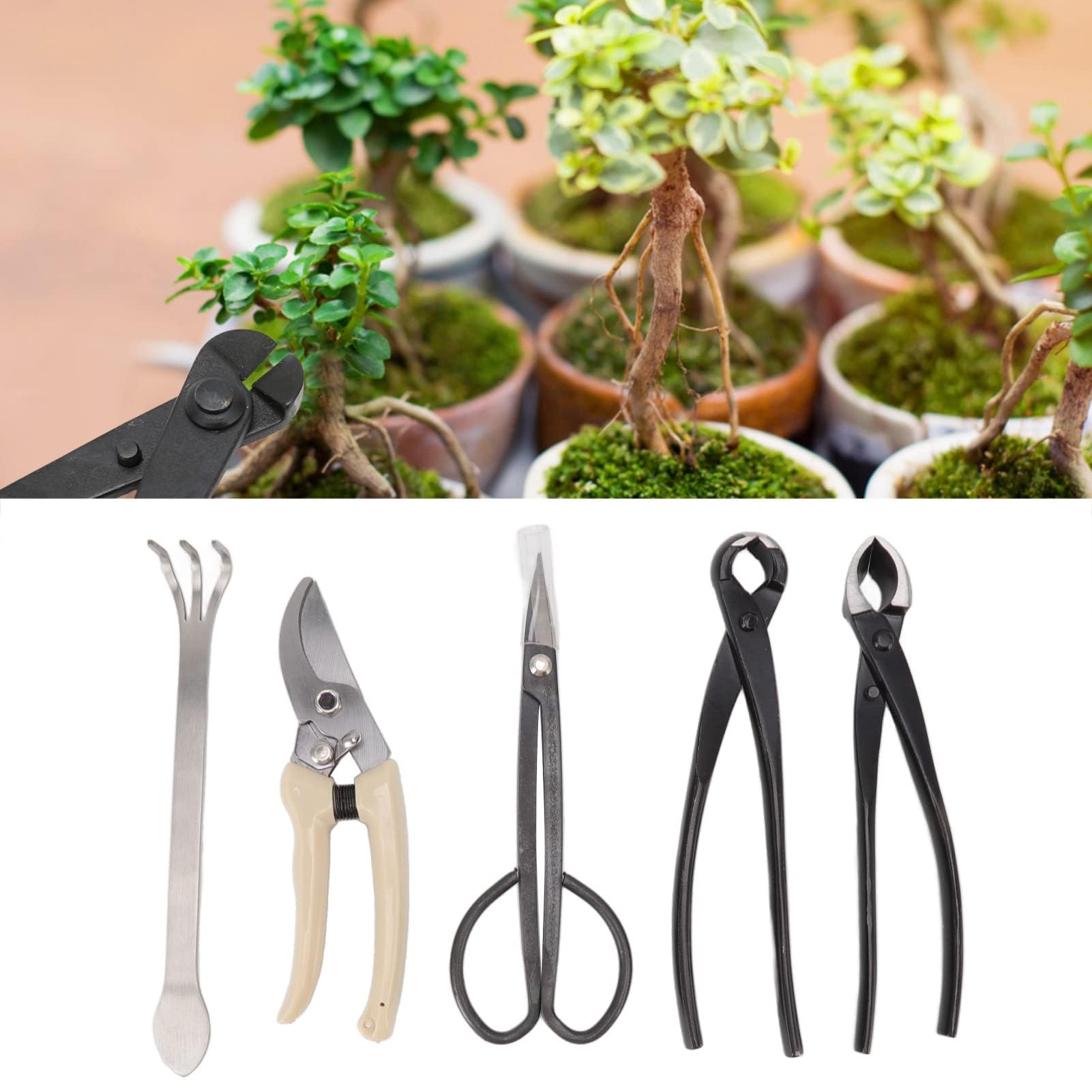 5 Pezzi Strumenti per Bonsai Kit di Filo per Bonsai Strumenti Kit per Potatura Set Strumenti per Giardinaggio, Set di Attrezzi da Giardino, Forbici da Giardino